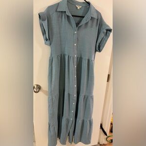 Max Studio Blue Button-Down Dress